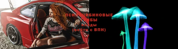 дмт Алзамай