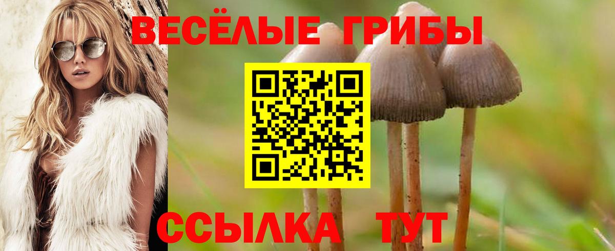 Галлюциногенные грибы прущие грибы Юрга