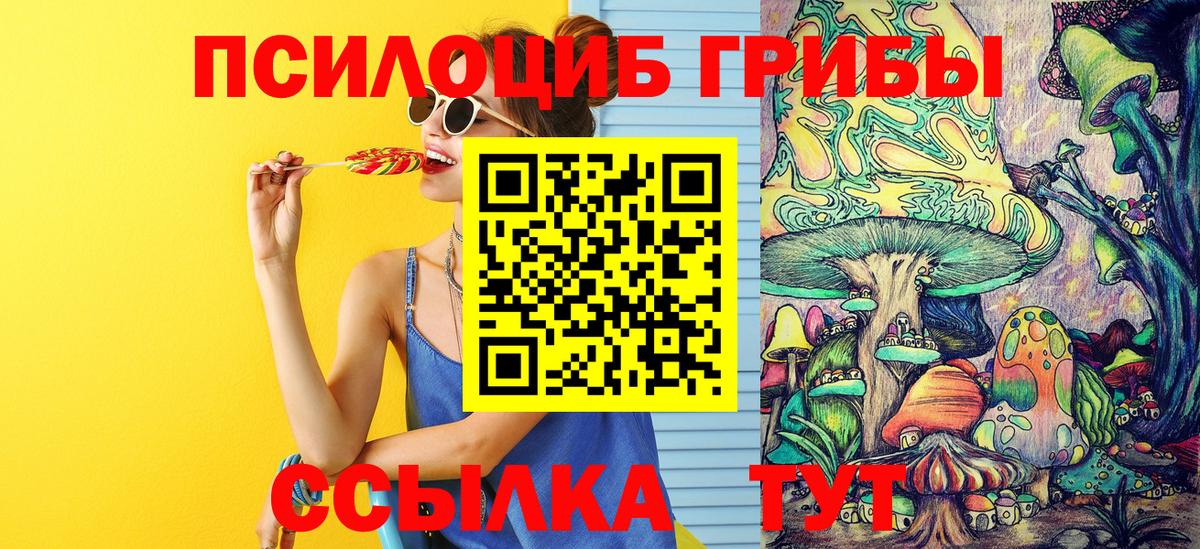 Псилоцибиновые грибы прущие грибы  Вход с VPN  Юрга 